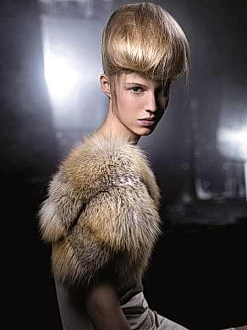 Haute Coiffure Française