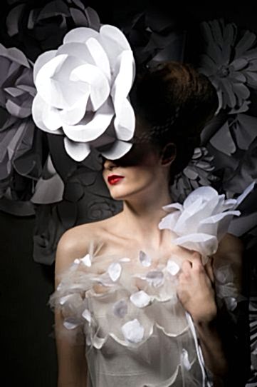 Flora-2013